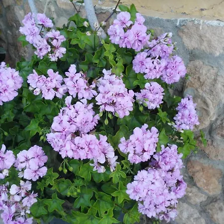 Rural Masía Valldepérez *
